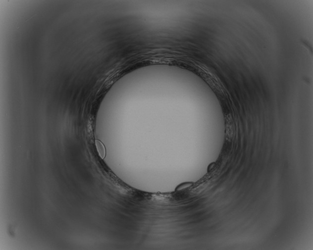 X0000093210573200709261427