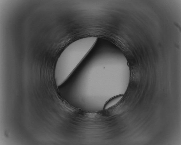 X0000093210575200709261427