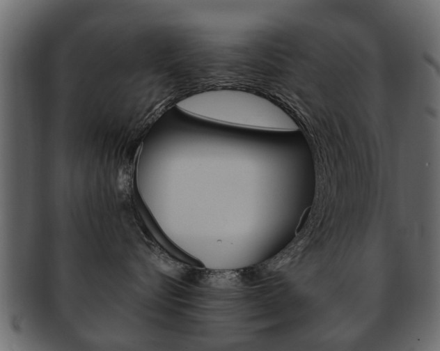 X0000093210576200709261427