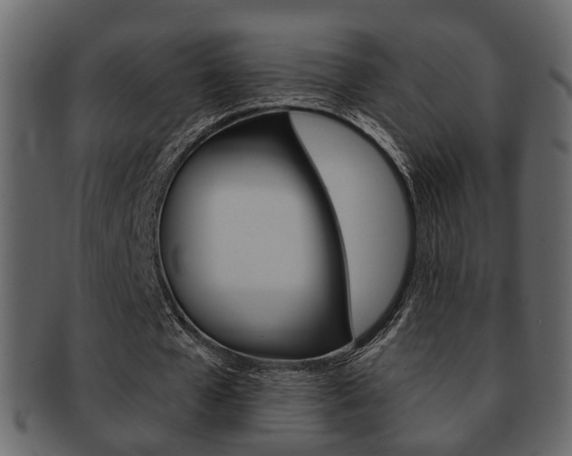 X0000093210577200709261427