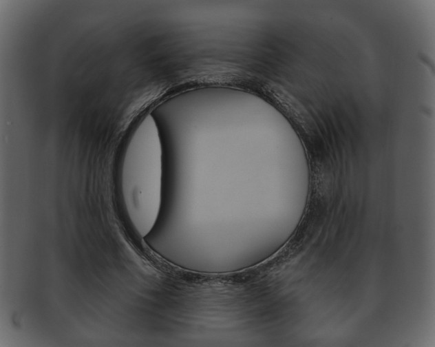 X0000093210586200709261427