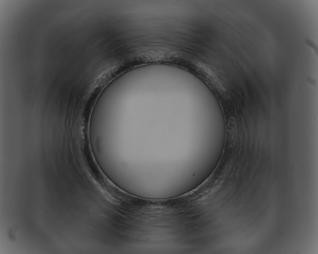 X0000093210590200709261427