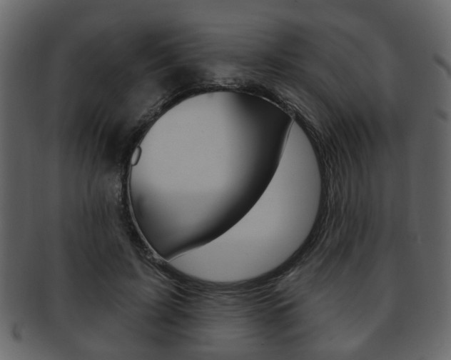 X0000093210595200709261426