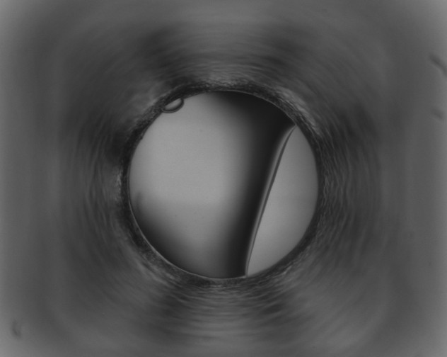 X0000093210596200709261426