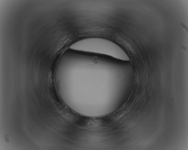 X0000093210599200709261426