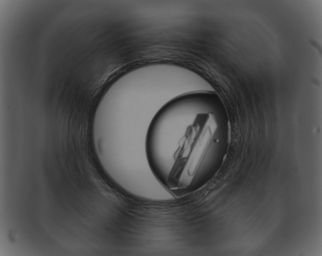 X0000093210600200709261426