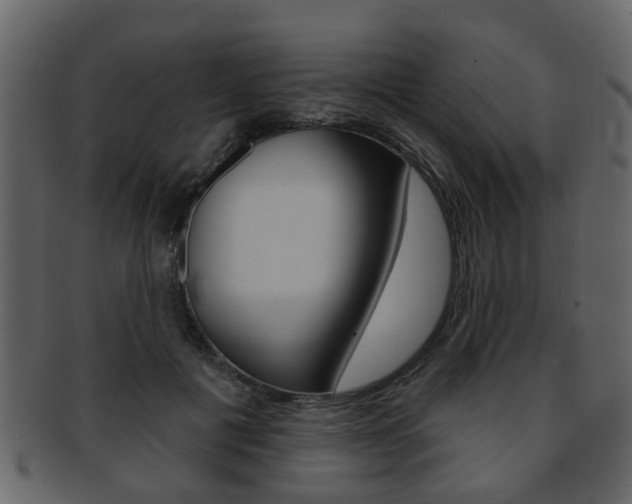 X0000093210601200709261426