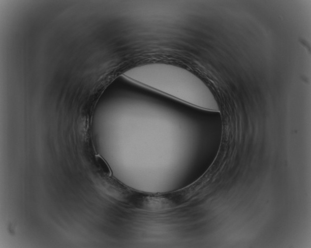 X0000093210605200709261426