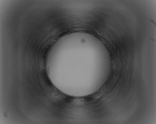 X0000093210606200709261426