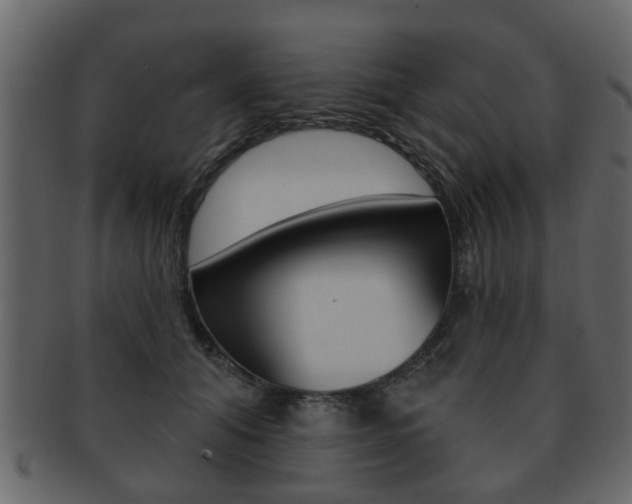 X0000093210608200709261426
