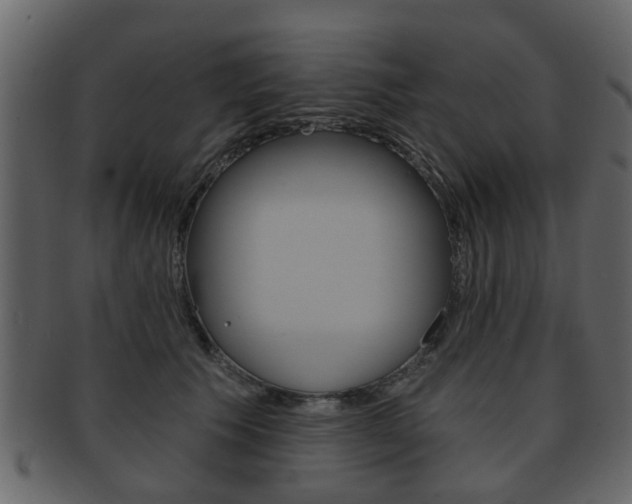 X0000093210609200709261426