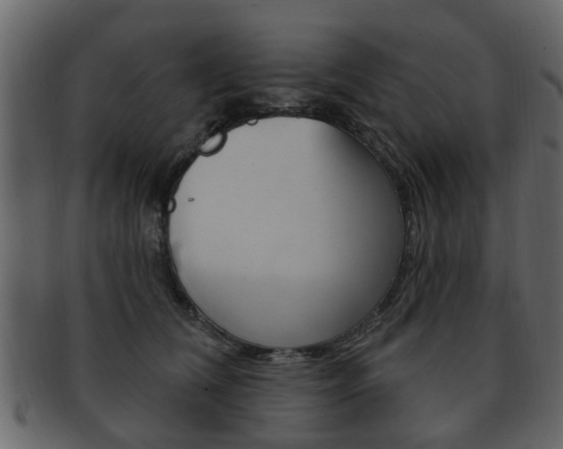 X0000093210612200709261426