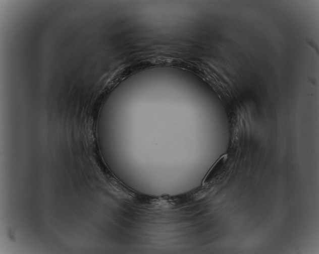 X0000093210616200709261426
