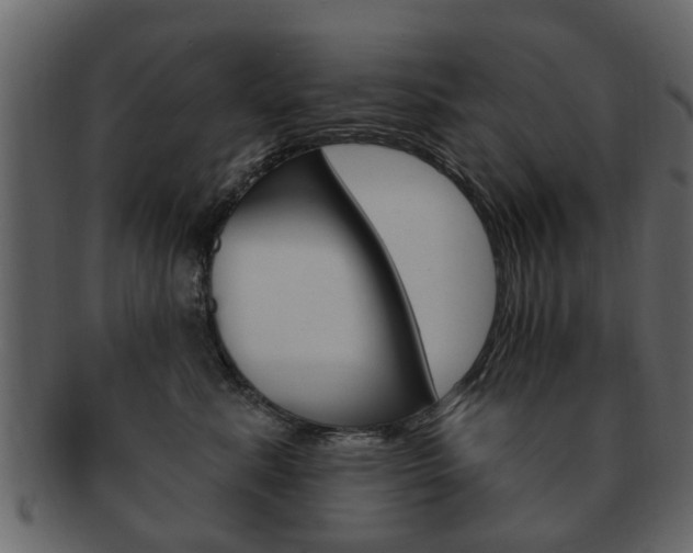 X0000093210619200709261426