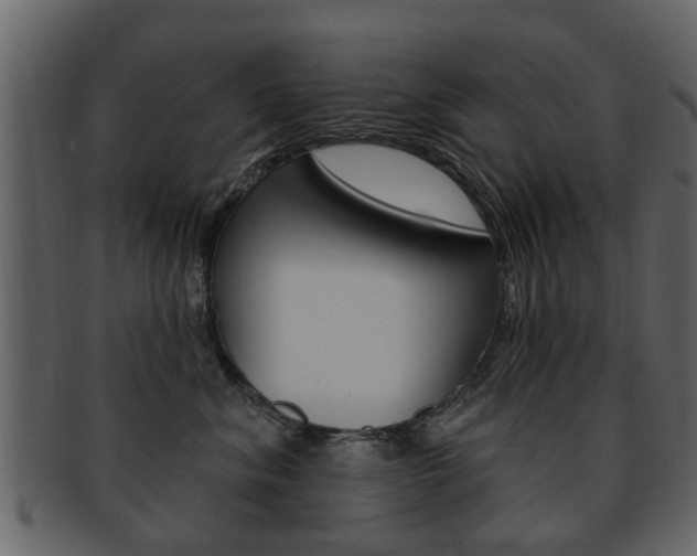 X0000093210620200709261426