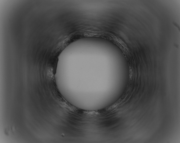 X0000093210621200709261426