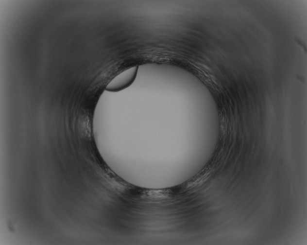 X0000093210622200709261426