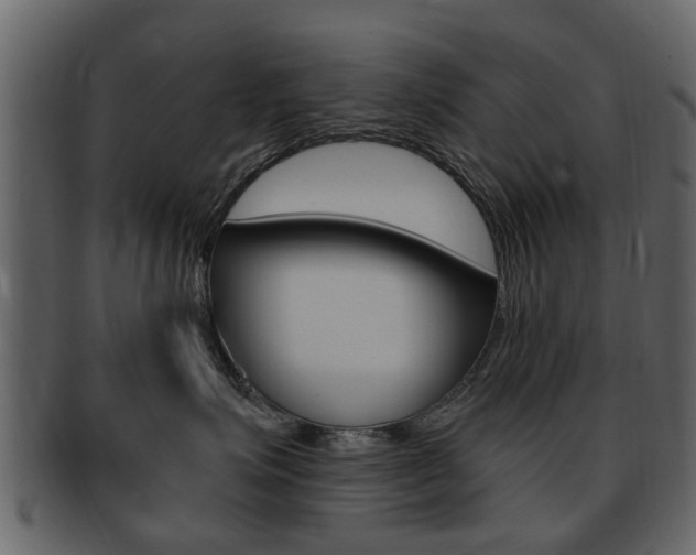 X0000093210623200709261426