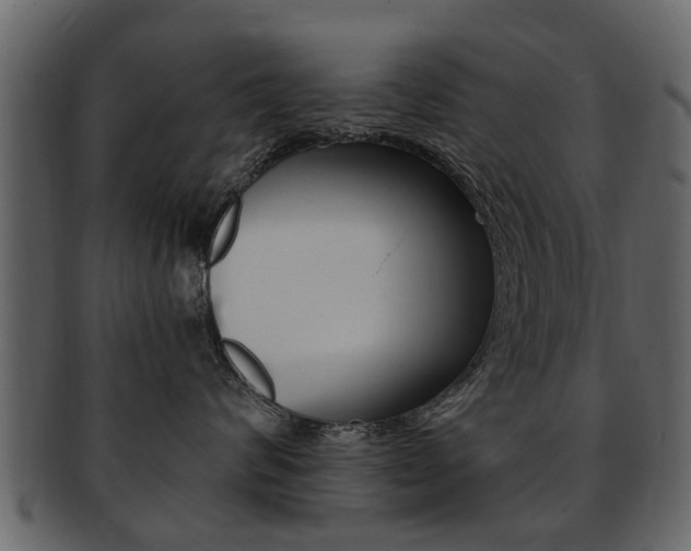 X0000093210624200709261426