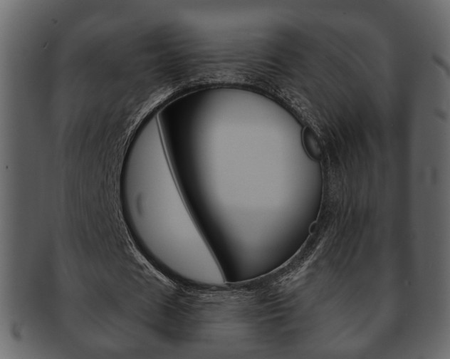 X0000093210625200709261425