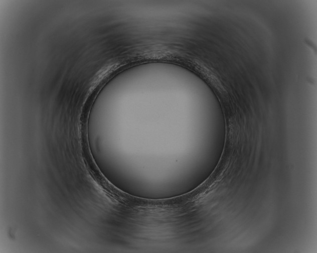 X0000093210626200709261425