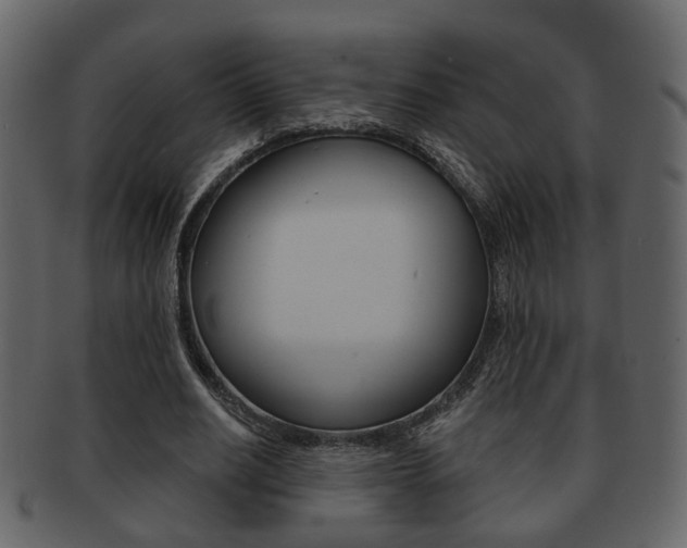 X0000093210630200709261426