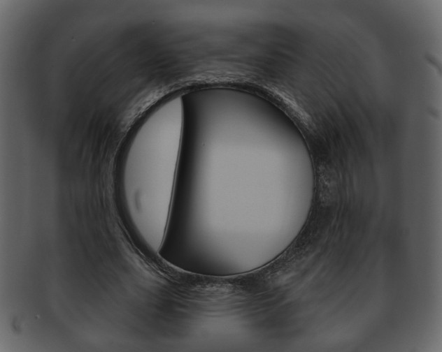 X0000093210631200709261426