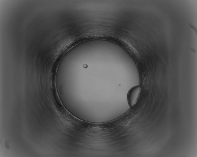 X0000093210635200709261426