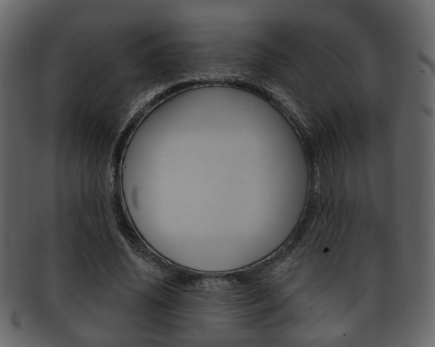 X0000093210636200709261426