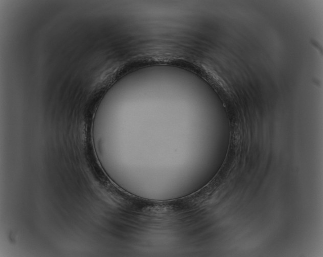 X0000093210639200709261426