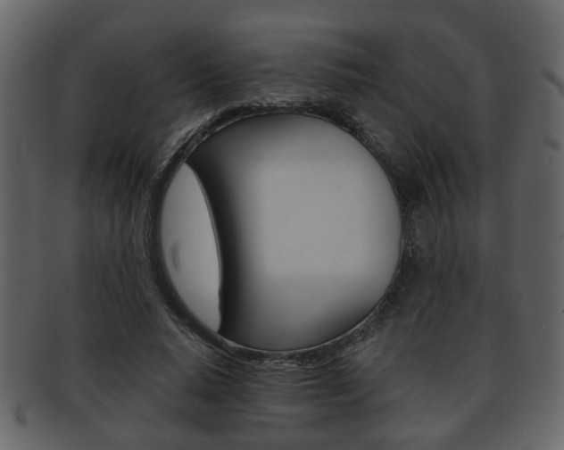 X0000093210640200709261426