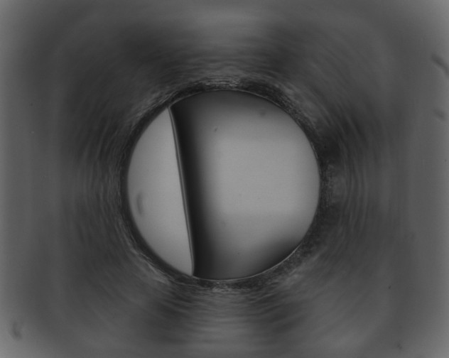 X0000093210641200709261426