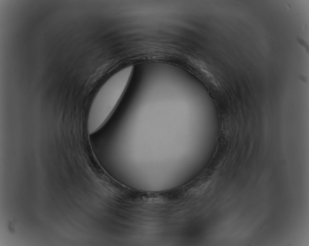 X0000093210645200709261426