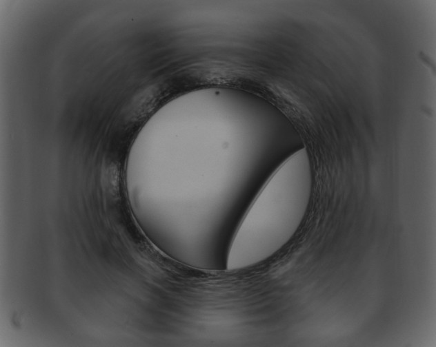 X0000093210646200709261426
