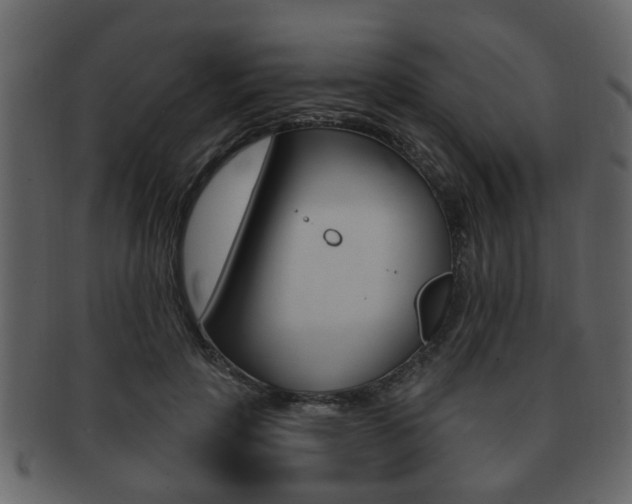 X0000093210649200709261426