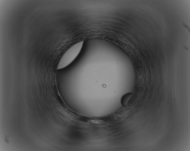 X0000093210654200709261426
