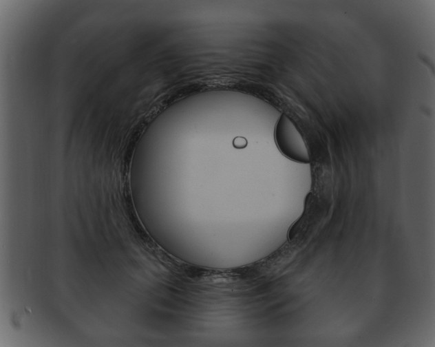 X0000093210655200709261426