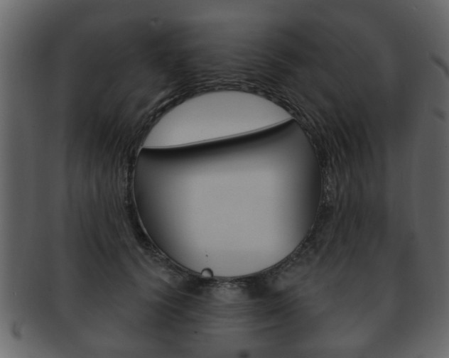 X0000093210656200709261426