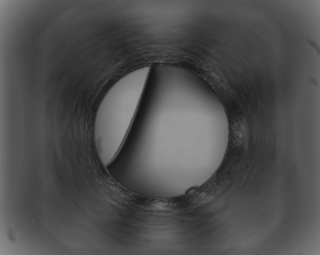 X0000093210657200709261426