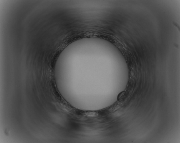 X0000093210659200709261426