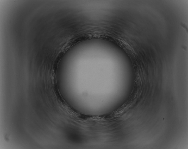 X0000093210661200709261426