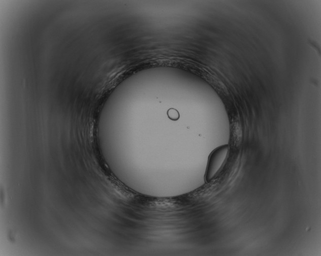 X0000093210668200709261426