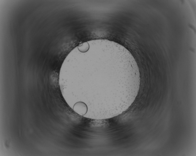 X0000093210672200709261426