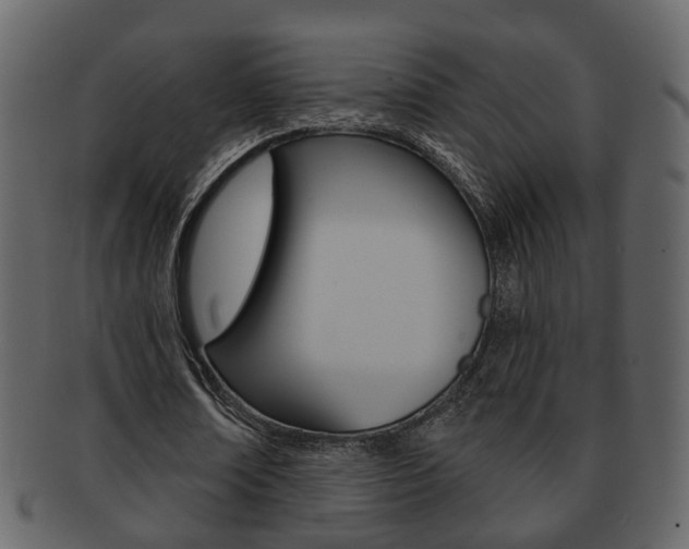 X0000093210674200709261425