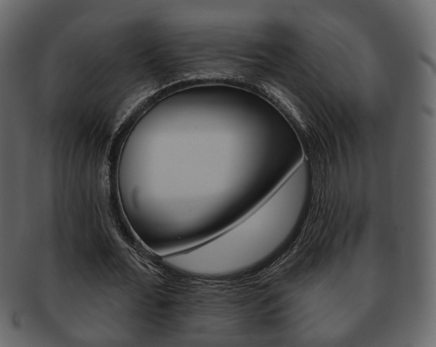 X0000093210676200709261425