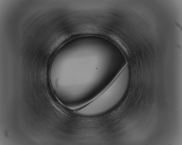X0000093210677200709261425