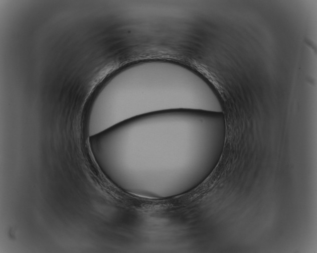 X0000093210679200709261425