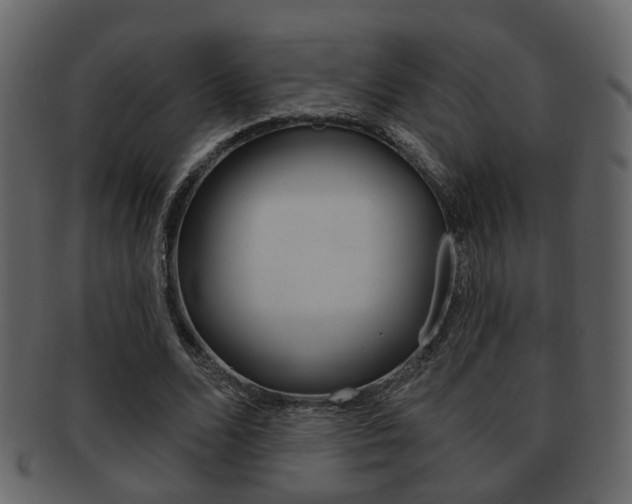 X0000093210680200709261425