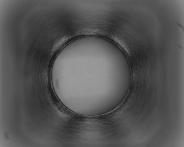 X0000093210682200709261425