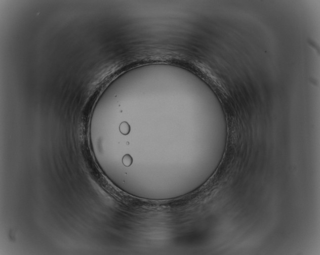 X0000093210683200709261425